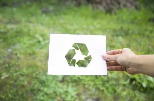 ¿Es suficiente la sustentabilidad para superar nuestra crisis climática? Tiempo para repensar todo ¿Es suficiente la sustentabilidad para superar nuestra crisis climática? Tiempo para repensar todo