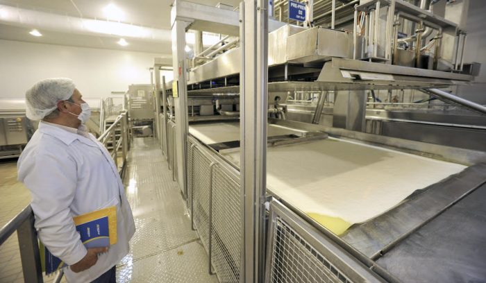 Promueven la sustentabilidad en los productos lácteos Promueven la sustentabilidad en los productos lácteos