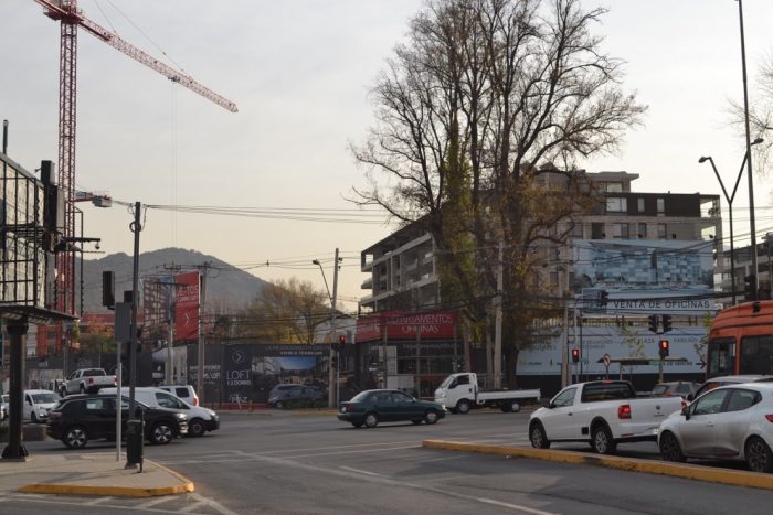 Salas de exhibición y ventas se reinventan frente a nueva apertura Salas de exhibición y ventas se reinventan frente a nueva apertura