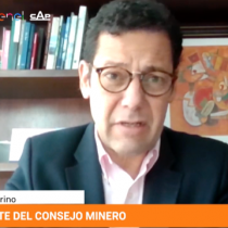Joaquín Villarino y las aprensiones de la minería al debate constitucional: 