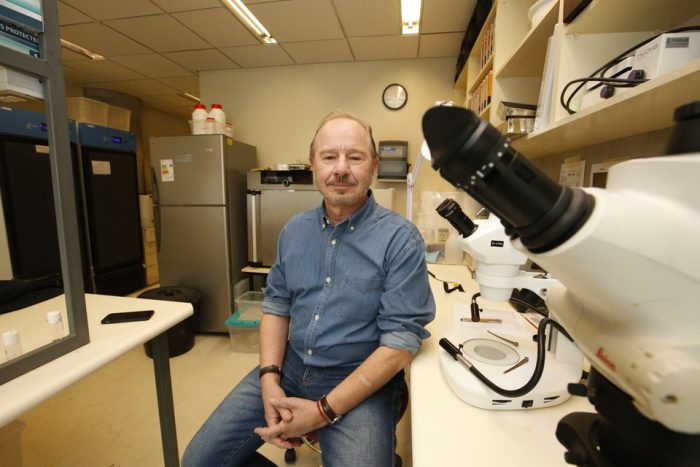 Francisco Bozinovic recibió el Premio Nacional de Ciencias Naturales 2020 por su aporte a la biología integrativa Francisco Bozinovic recibió el Premio Nacional de Ciencias Naturales 2020 por su aporte a la biología integrativa