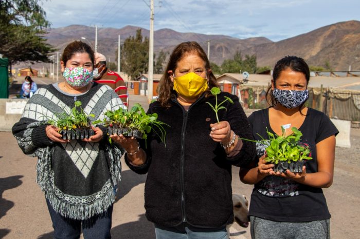 Proteger el Archipiélago de Humboldt para enfrentar el cambio climático