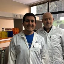 Investigadores descubren que la vitamina C desencadena la muerte neuronal en condiciones de estrés oxidativo