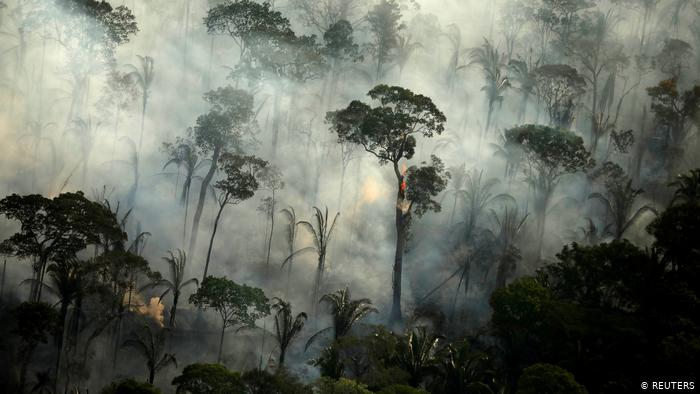 Preocupante escenario para la Amazonia brasileña: incendios aumentaron en julio Preocupante escenario para la Amazonia brasileña: incendios aumentaron en julio