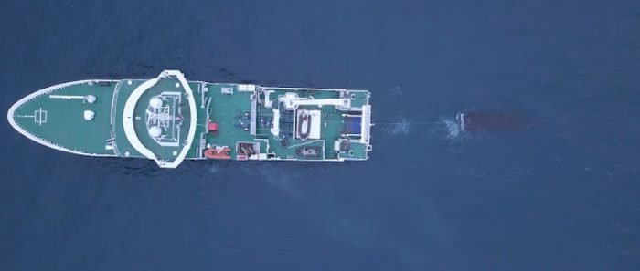 “Atacamex: Explorando lo desconocido” se coronó como el “Mejor Documental” en los UNOFEX International Film Awards “Atacamex: Explorando lo desconocido” se coronó como el “Mejor Documental” en los UNOFEX International Film Awards