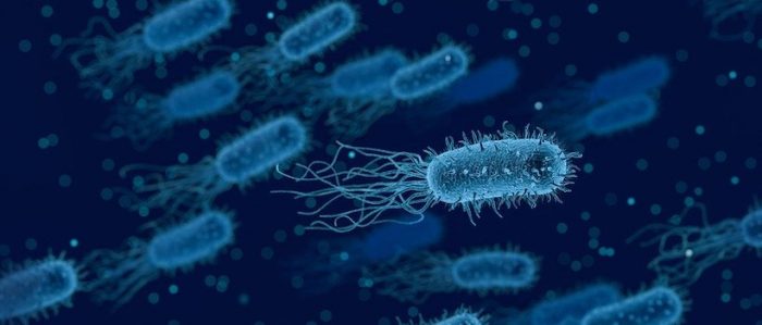 Bacterias sobreviven en el espacio exterior durante años Bacterias sobreviven en el espacio exterior durante años