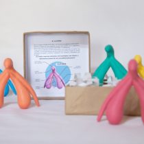 Más que vulva y vagina: la importancia de integrar al clítoris en la educación sexual integral
