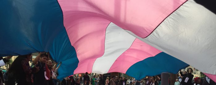 Población trans ante la crisis del Covid: una radiografía Población trans ante la crisis del Covid: una radiografía