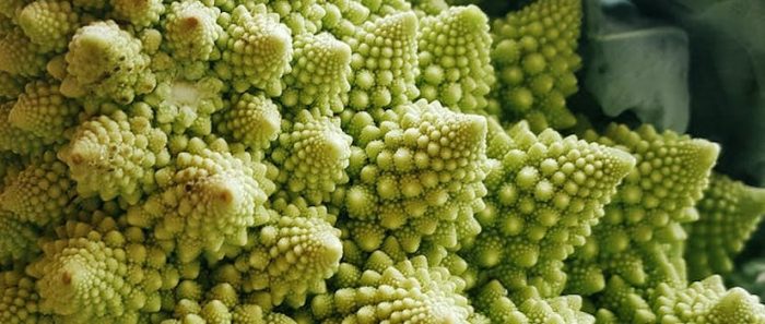 ¿Son las pandemias fenómenos fractales? ¿Son las pandemias fenómenos fractales?