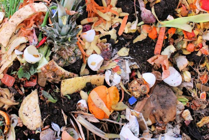 Hay un futuro en nuestra basura Hay un futuro en nuestra basura