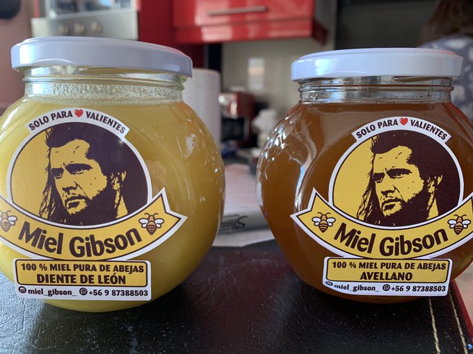 «Miel Gibson»: el caso de la profesora chilena en problemas da la vuelta al mundo