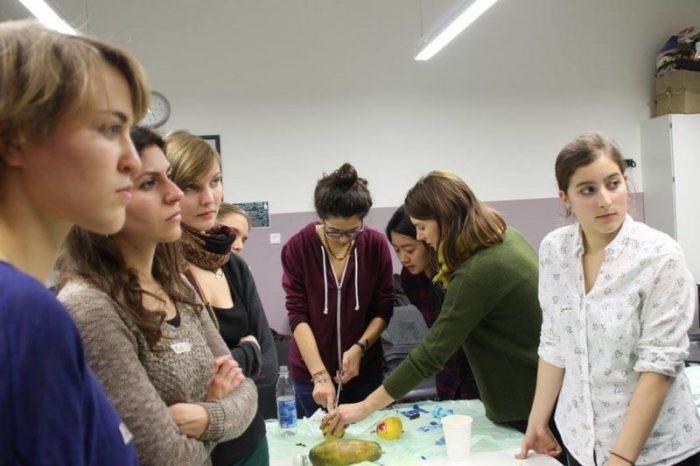 Los riesgos de que cada vez menos doctores sepan practicar un aborto en Alemania (y la ingeniosa solución de unos estudiantes de Medicina) Los riesgos de que cada vez menos doctores sepan practicar un aborto en Alemania (y la ingeniosa solución de unos estudiantes de Medicina)