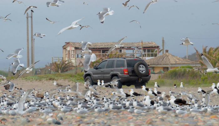 Programa de capacitación permitirá fortalecer la fiscalización del tránsito de vehículos en playas y humedales Programa de capacitación permitirá fortalecer la fiscalización del tránsito de vehículos en playas y humedales