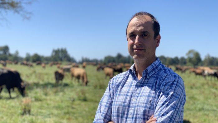 Experiencia de modelo lechero neozelandés adaptado exitosamente en Chile fue dado a conocer en Virtual Field Days Ecuador Experiencia de modelo lechero neozelandés adaptado exitosamente en Chile fue dado a conocer en Virtual Field Days Ecuador