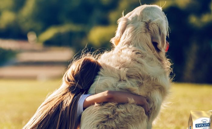 La llegada de la primavera también afecta a los perros La llegada de la primavera también afecta a los perros