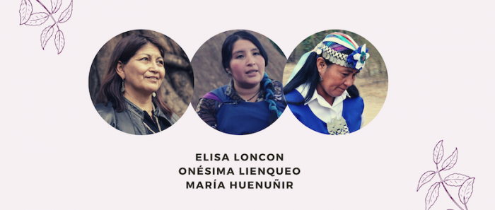 Ciclo de entrevistas “Pioneros del cambio” revisa la sabiduría de las mujeres mapuches Ciclo de entrevistas “Pioneros del cambio” revisa la sabiduría de las mujeres mapuches
