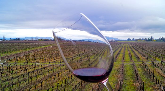 Día del Vino conmemora parte del orgullo nacional por sexto año consecutivo Día del Vino conmemora parte del orgullo nacional por sexto año consecutivo