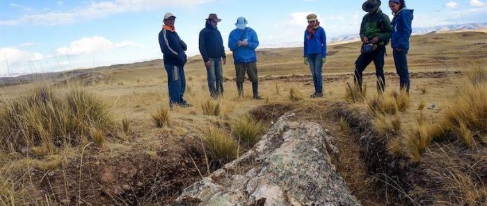 Un árbol fósil reconfigura paisaje de los Andes de hace 10 millones de años Un árbol fósil reconfigura paisaje de los Andes de hace 10 millones de años