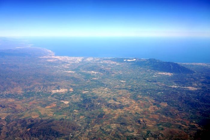 Cómo reforestar el planeta para mitigar la crisis climática Cómo reforestar el planeta para mitigar la crisis climática