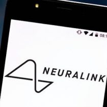 La neurociencia sigue conociendo mejor el cerebro que Elon Musk