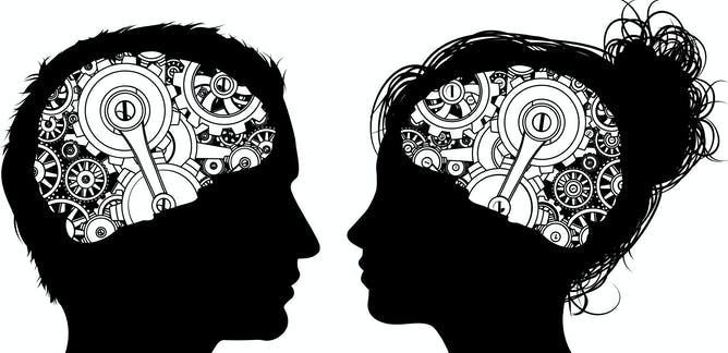 Los algoritmos dicen que hay cerebros masculinos y femeninos, pero quizá confundan el sexo con el tamaño Los algoritmos dicen que hay cerebros masculinos y femeninos, pero quizá confundan el sexo con el tamaño