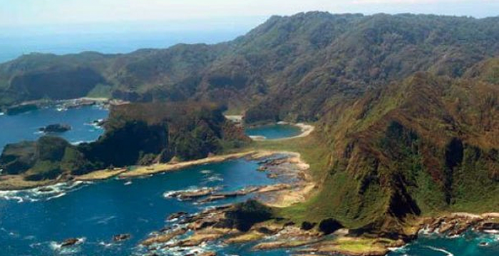Ante polémica por venta de la isla Guafo científicos elaboran propuesta que garantice la conservación de la diversidad biocultural en una nueva Constitución