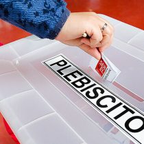 Proceso constitucional: en debate Constitución Económica y orden público económico democrático y sostenible