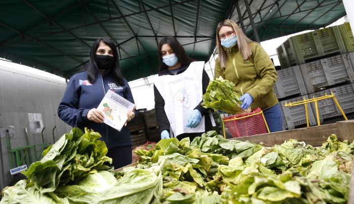 Presentan guía con recomendaciones para evitar el desperdicio de alimentos en el hogar Presentan guía con recomendaciones para evitar el desperdicio de alimentos en el hogar