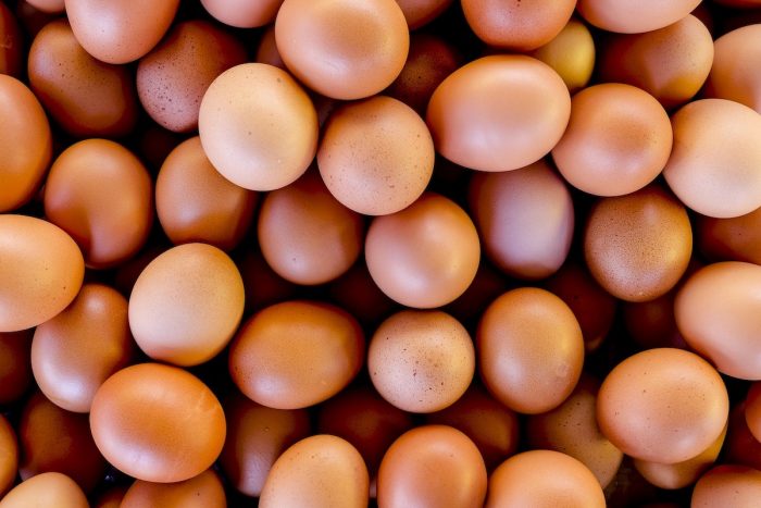 Pandemia provoca alza histórica en producción de huevos en Chile Pandemia provoca alza histórica en producción de huevos en Chile
