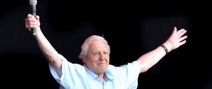 David Attenborough: el naturalista y estrella de TV de 94 años que bate récords en Instagram David Attenborough: el naturalista y estrella de TV de 94 años que bate récords en Instagram