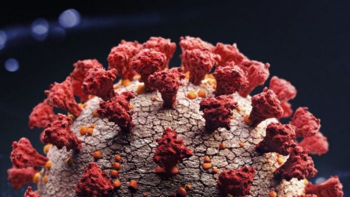 Reinfección de covid-19: un hombre se contagia dos veces y la segunda infección es “más severa” Reinfección de covid-19: un hombre se contagia dos veces y la segunda infección es
