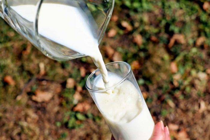 Leche de vaca, soya y arroz serían las principales alergia alimentaria en niños chilenos Leche de vaca, soya y arroz serían las principales alergia alimentaria en niños chilenos