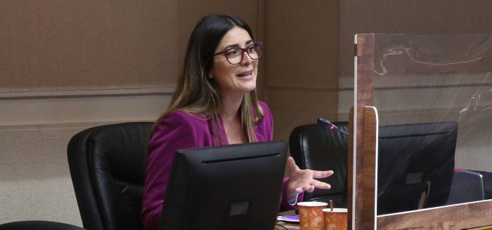 Presentan proyecto que permite uso público de registro de personas condenadas por violencia intrafamiliar Presentan proyecto que permite uso público de registro de personas condenadas por violencia intrafamiliar