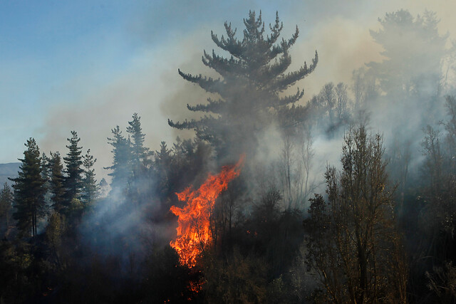 Gobierno declara estado preventivo de emergencia en regiones afectadas por incendios forestales hasta mayo 2021 Gobierno declara estado preventivo de emergencia en regiones afectadas por incendios forestales hasta mayo 2021