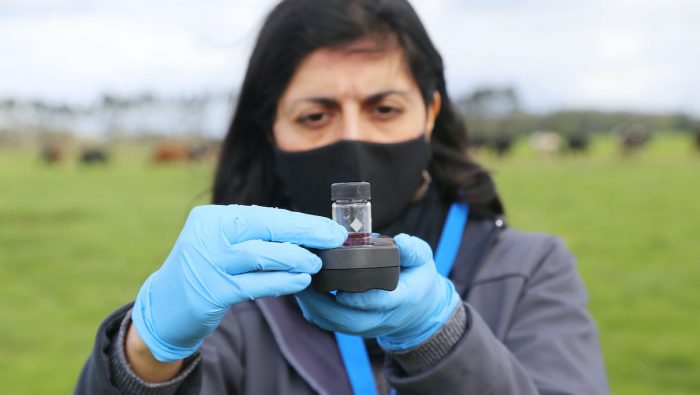 Manuka lanza su segundo reporte de sustentabilidad Manuka lanza su segundo reporte de sustentabilidad