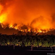Incendios avanzan sobre región vinícola californiana
