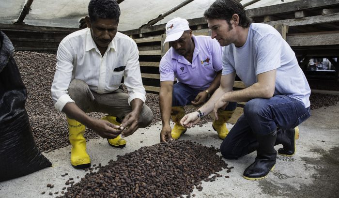 Tour virtual permite conocer sobre la historia del cacao y la fabricación del chocolate Tour virtual permite conocer sobre la historia del cacao y la fabricación del chocolate
