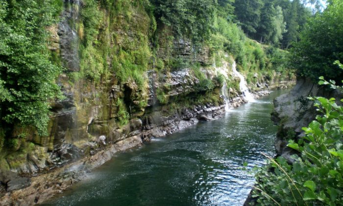 Corte de Apelaciones prohibió remate de derechos de agua en Río Queuco Corte de Apelaciones prohibió remate de derechos de agua en Río Queuco