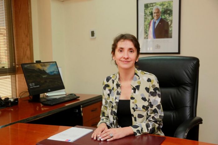 Rosario Martínez es designada por el Gobierno como la nueva directora del Sename Rosario Martínez es designada por el Gobierno como la nueva directora del Sename