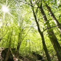 Fondo Naturaleza Chile: conservación de nuestra biodiversidad en los territorios