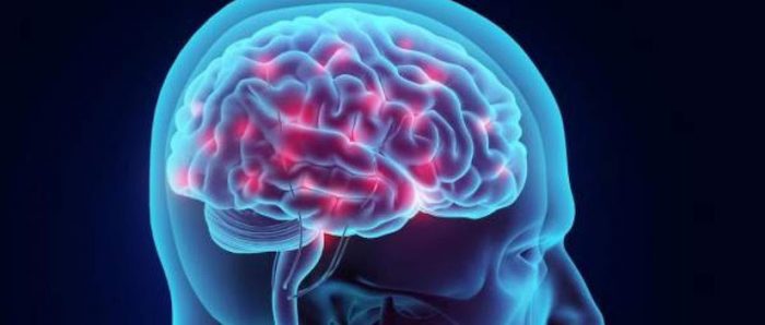 Los recuerdos crean una “huella neuronal” en el cerebro que define la individualidad frente a una experiencia en común Los recuerdos crean una “huella neuronal” en el cerebro que define la individualidad frente a una experiencia en común