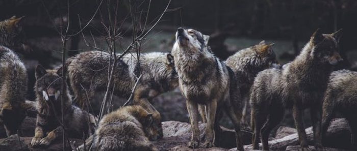 La moral es un producto de la evolución y de la cultura La moral es un producto de la evolución y de la cultura