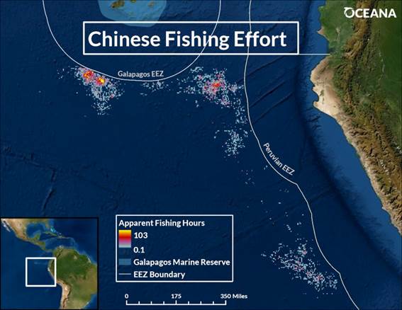 Experto de Oceana advierte el impacto que tendrá en la industria pesquera la flota clandestina de buques chinos que se acerca a aguas chilenas Experto de Oceana advierte el impacto que tendrá en la industria pesquera la flota clandestina de buques chinos que se acerca a aguas chilenas