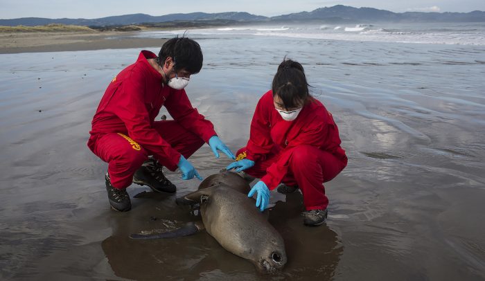Día Nacional del Medioambiente: los problemas ambientales que visibilizó la pandemia Día Nacional del Medioambiente: los problemas ambientales que visibilizó la pandemia