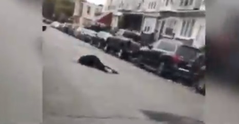 Se desata ola de violencia en Filadelfia tras nuevo asesinato a ciudadano afroamericano en manos de la policía Se desata ola de violencia en Filadelfia tras nuevo asesinato a ciudadano afroamericano en manos de la policía