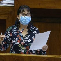 Diputada Marzán en picada contra ministra de Cultura: “Sus declaraciones son un golpe a la dignidad del sector”