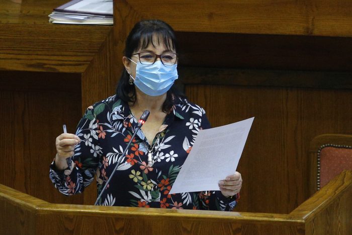 Diputada Marzán en picada contra ministra de Cultura: “Sus declaraciones son un golpe a la dignidad del sector”