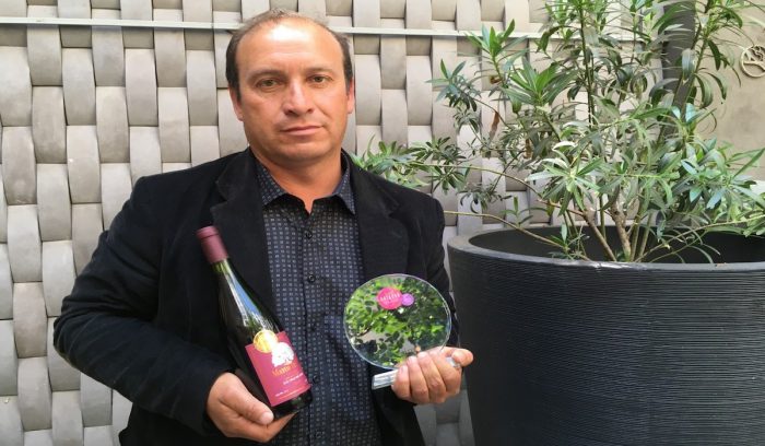 Vinos ancestrales: productor de Coelemu se transforma en el mejor de su categoría en Catad’Or Wine Awards Vinos ancestrales: productor de Coelemu se transforma en el mejor de su categoría en Catad’Or Wine Awards