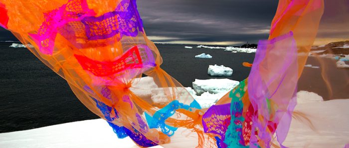 Para celebrar el día de la Antártica: vuelven charlas “Bajo Cero” con ciencia, arte y ciencia ciudadana Para celebrar el día de la Antártica: vuelven charlas “Bajo Cero” con ciencia, arte y ciencia ciudadana