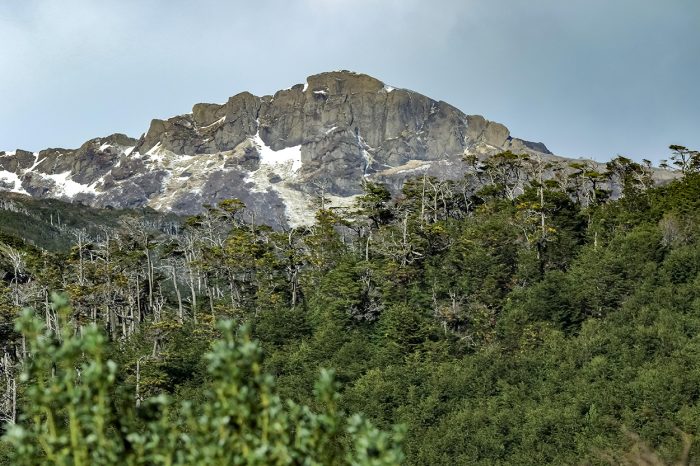 Invierno: la última mega-mina a cielo abierto de carbón y su cierre definitivo Invierno: la última mega-mina a cielo abierto de carbón y su cierre definitivo